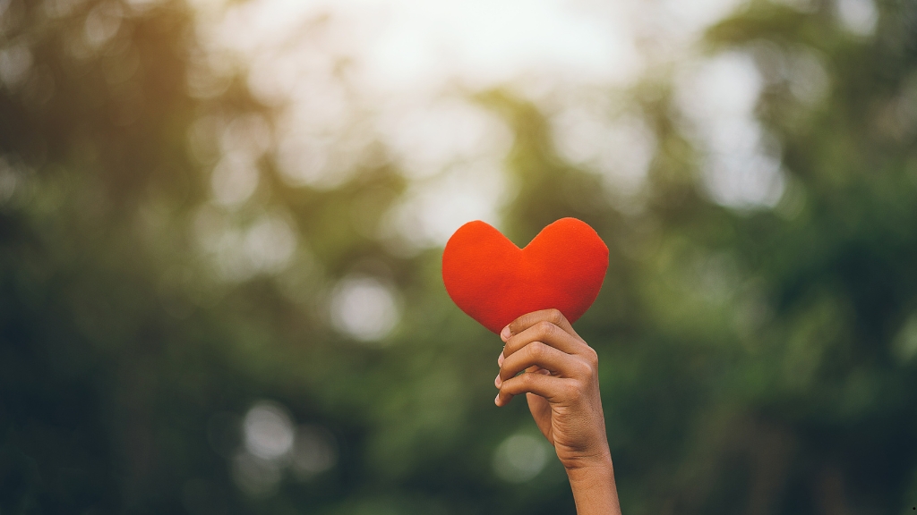 Our Hearts